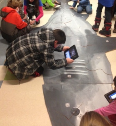 iPads are used to read QR codes that reveal information about shark adaptations.